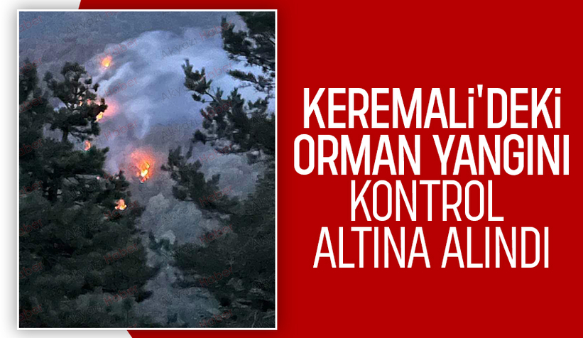 Akyazı'da orman yangını kontrol altına alındı