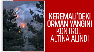 Akyazı'da orman yangını kontrol altına alındı