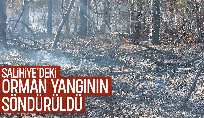 Akyazı'da orman yangını söndürüldü
