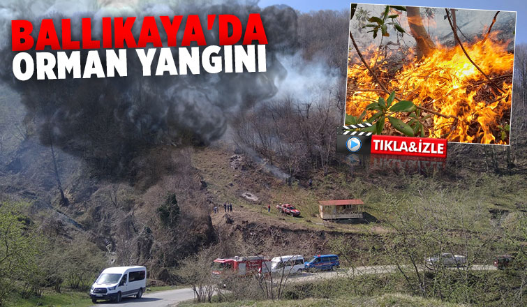 Akyazı'da orman yangını