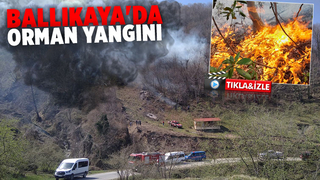 Akyazı'da orman yangını