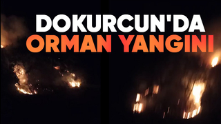 Akyazı'da orman yangını