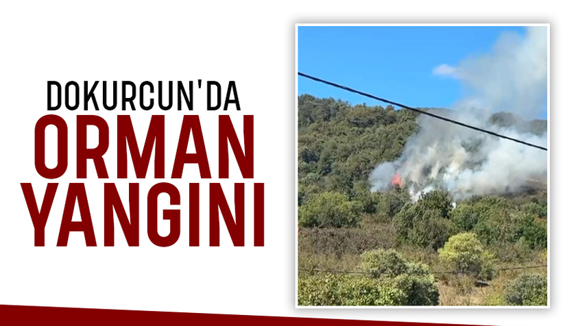 Akyazı'da orman yangını