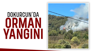 Akyazı'da orman yangını