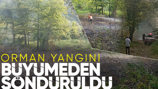 Akyazı'da ormanlık alanda yangın