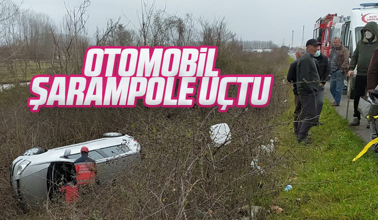 Akyazı'da otomobil şarampole uçtu