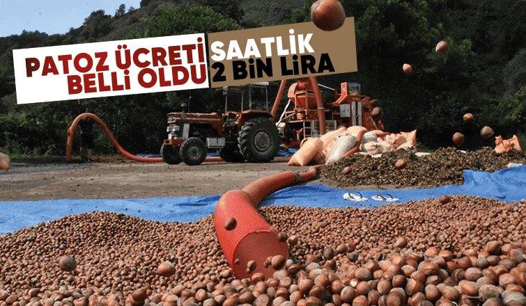 Akyazı'da patoz ücreti saatlik 2 bin lira oldu