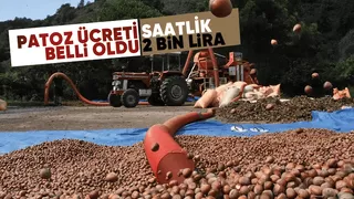 Akyazı'da patoz ücreti saatlik 2 bin lira oldu