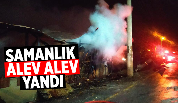 Akyazı'da samanlık alev alev yandı