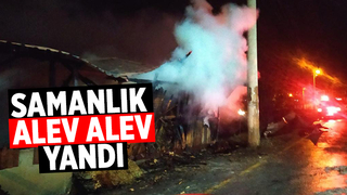 Akyazı'da samanlık alev alev yandı