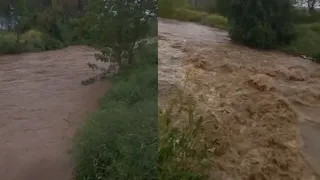 Akyazı'da şiddetli yağış; Yağcılar Deresi taşma noktasında