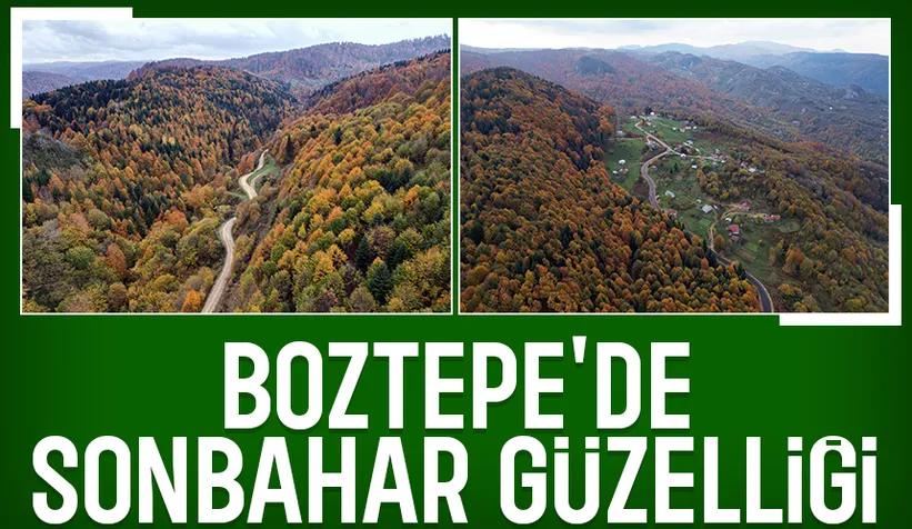 Akyazı'da sonbahar güzelliği böyle görüntülendi