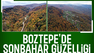 Akyazı'da sonbahar güzelliği böyle görüntülendi