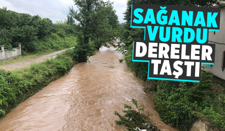 Akyazı'da dereler taştı