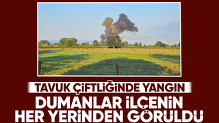 Akyazı'da tavuk çiftliğinde yangın