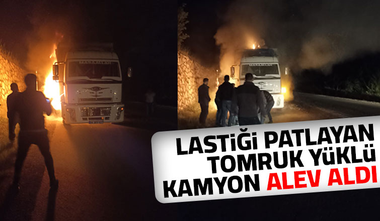 Akyazı'da tomruk yüklü kamyon alev aldı