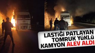 Akyazı'da tomruk yüklü kamyon alev aldı