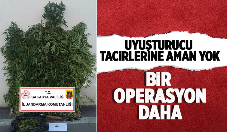 Akyazı'da uyuşturucu operasyonu