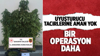 Akyazı'da uyuşturucu operasyonu