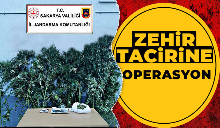 Akyazı'da uyuşturucu operasyonu