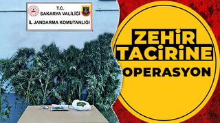 Akyazı'da uyuşturucu operasyonu