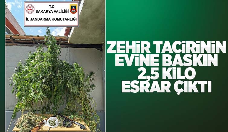 Akyazı'da uyuşturucu operasyonu