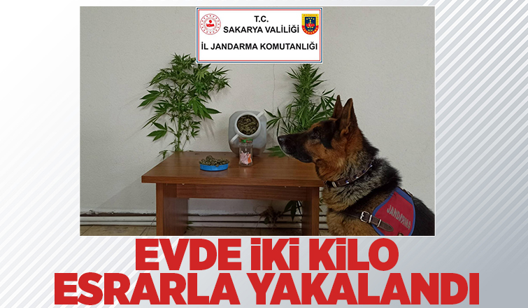 Akyazı'da uyuşturucu operasyonu