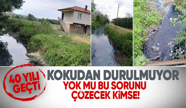 Akyazı'da vatandaşın 40 yıllık koku sorunu isyanı