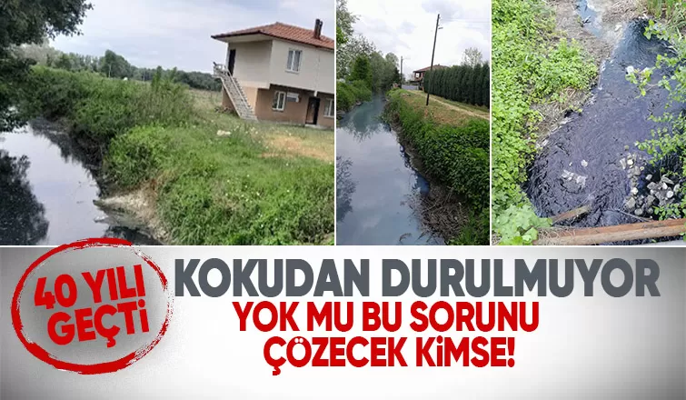 Akyazı'da vatandaşın 40 yıllık koku sorunu isyanı