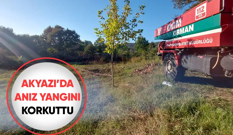 Akyazı da yangın
