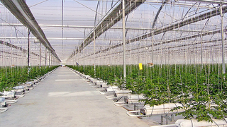 Akyazı'da yapılacak o projenin toplantısı yapıldı