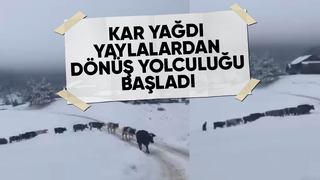 Akyazı'da yaylalardan dönüş başladı