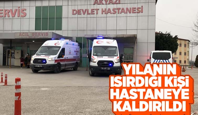 Akyazı'da yılanın ısırdığı kişi hastanelik oldu