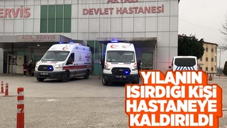 Akyazı'da yılanın ısırdığı kişi hastanelik oldu