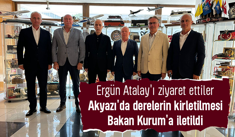 Akyazı'daki derelerin kirletilmesi Bakan Kurum'a aktarıldı