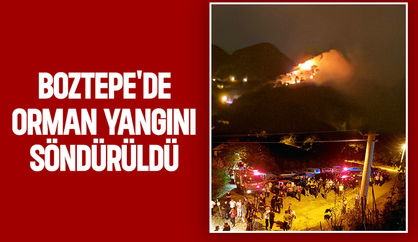 Akyazı'daki orman yangını söndürüldü