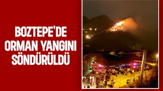 Akyazı'daki orman yangını söndürüldü