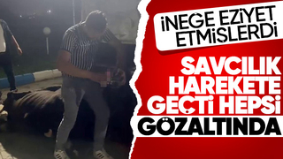 Akyazı'daki skandal olay için savcılık harekete geçti