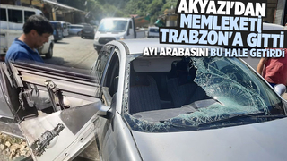 Akyazı'dan Trabzon'a gitti aracı bu hale geldi
