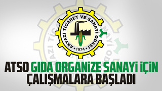 Akyazı Gıda OSB için harekete geçildi