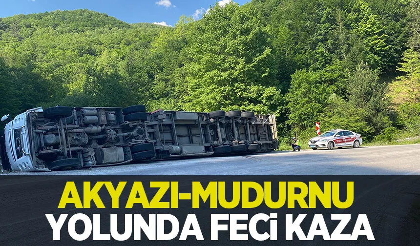 Akyazı-Mudurnu yolunda tır devrildi. Sürücü kazayı yara almadan atlattı.
