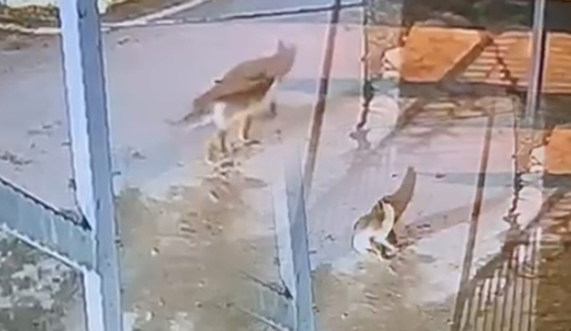 Akyazı Sağlık Bilimleri Fakültesi’nde sürpriz misafir