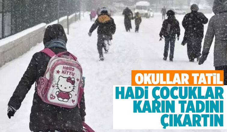 5 ilçede okullar tatil edildi