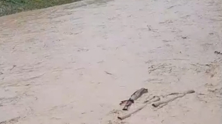 Akyazı'yı sel vurdu; Pek çok mahallede hasar büyük