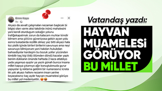 Akyazıda bozuk yol isyanı: Hayvan muamelesi görüyor bu millet