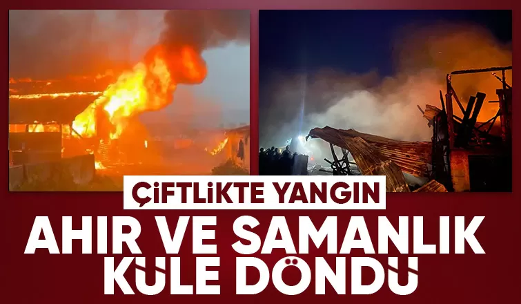 Akyazıda çiftlikte yangın