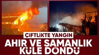 Akyazıda çiftlikte yangın