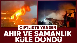 Akyazıda çiftlikte yangın