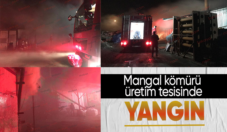Akyazıda mangal kömürü üretim tesisinde yangın çıktı