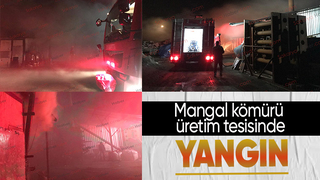 Akyazıda mangal kömürü üretim tesisinde yangın çıktı